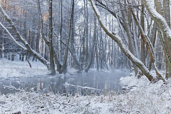 Foggy cols fiume in inverno — Foto Stock