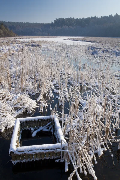 Lago congelado en el invierno al amanecer —  Fotos de Stock