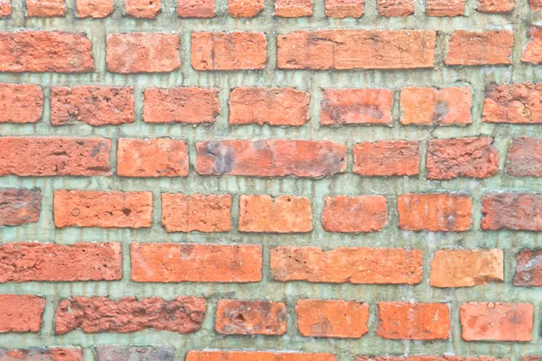 stock image Weathered old brick wall background