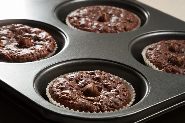 Chocolate muffin in baking tray — Stock Photo, Image