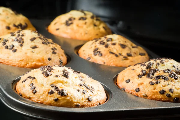Muffin com chip de chocolate na assadeira — Fotografia de Stock