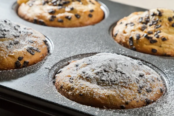 Muffin z cukrem pudrem i czekoladowe — Zdjęcie stockowe