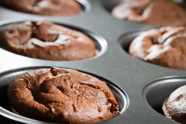 stock image Closeup chocolate muffin in baking tray