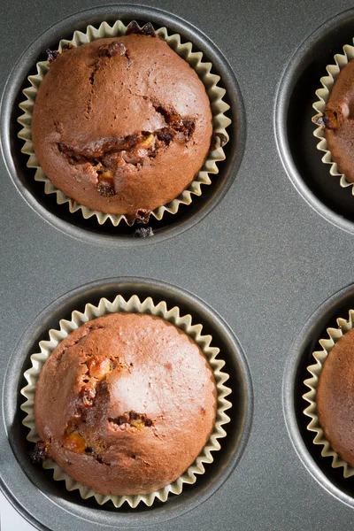 Muffin au chocolat dans une plaque à pâtisserie — Photo