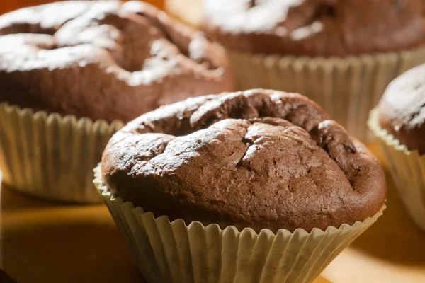 Närbild choklad muffin i cupcake — Stockfoto