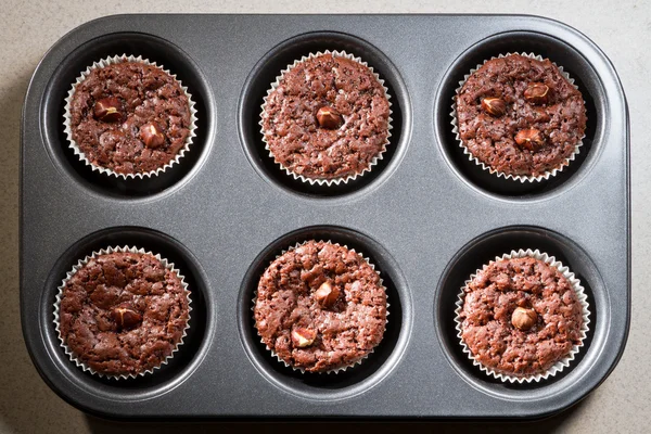 Seis magdalenas de chocolate en bandeja para hornear — Foto de Stock