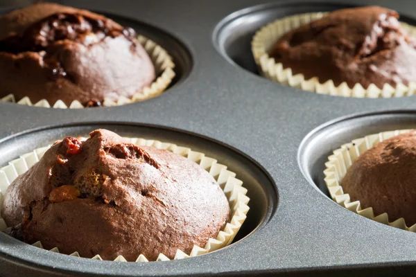 Closeup chocolate muffin in baking tray — Stock Photo, Image