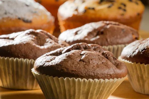 Closeup de chocolate e muffins de baunilha após o cozimento — Fotografia de Stock