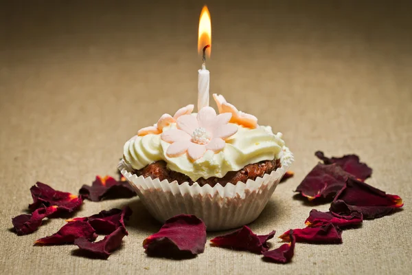 Burning candle on chocolate muffin with rose petals — Stock Photo, Image