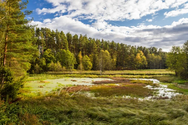 Autumn view over the backwaters — Stock Photo, Image