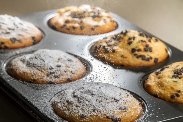 Muffin aux pépites de chocolat et sucre en poudre — Photo