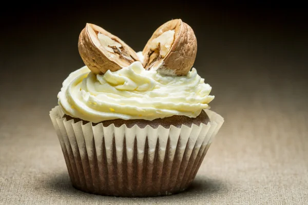 Chocolade muffin en met walnoot — Stockfoto