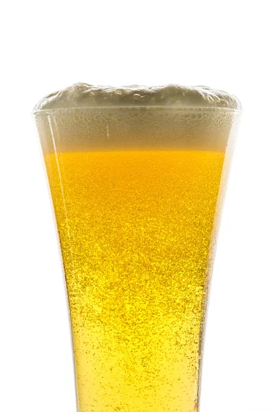 Stock image Glass of light beer on white background