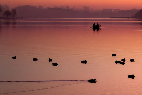 Рибалки і качки на озері на заході сонця — стокове фото