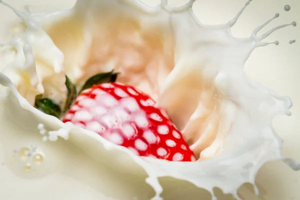 Starwberry close-up splash of milk — Stock Photo, Image