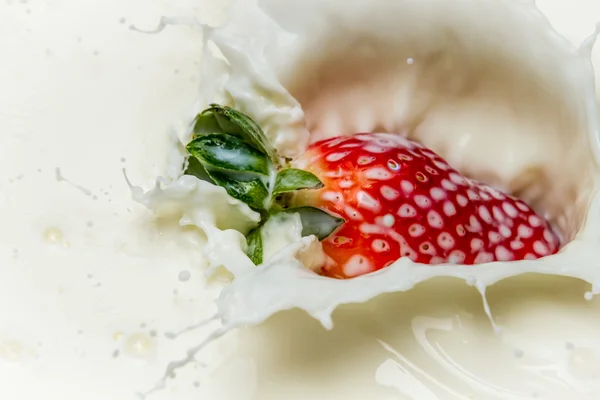 Closeup starwberry splash into milk — Stock Photo, Image