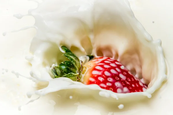 Closeup strawberry falling into milk — Stock Photo, Image