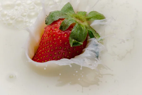 Strawberry falling into milk with a splash — Stock Photo, Image