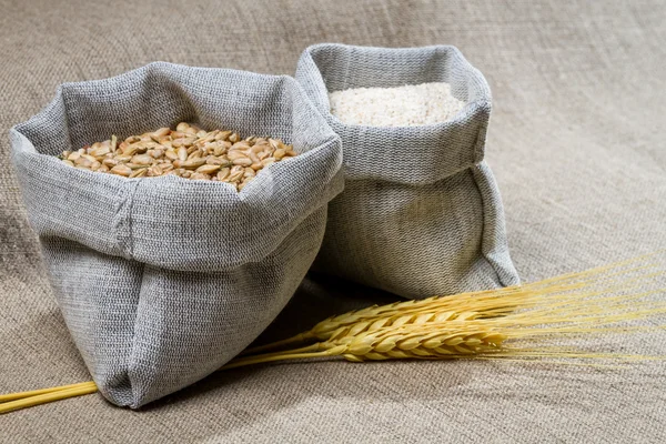 Closep canvas sack of seed — Stock Photo, Image
