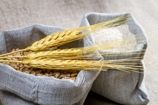 Closep canvas sack of wheat — Stock Photo, Image