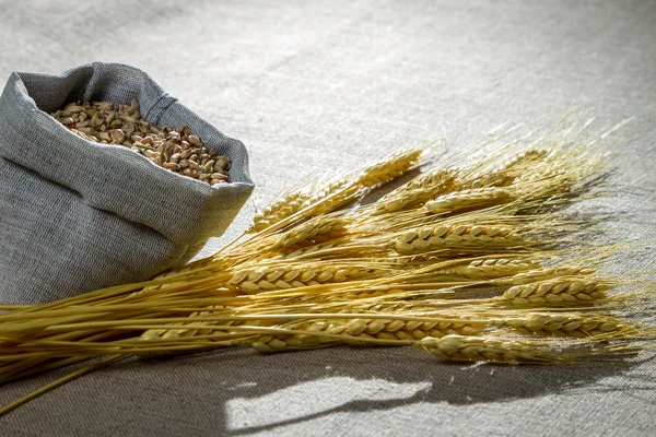 Closeup semente de trigo sobre tela — Fotografia de Stock