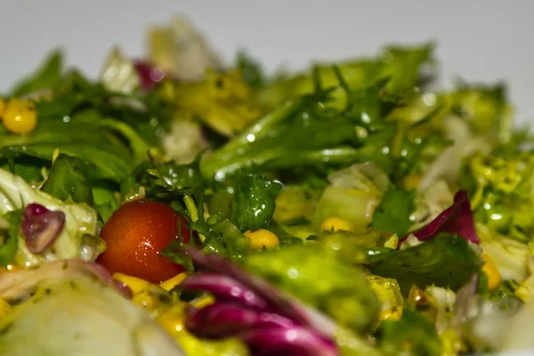 stock image Green salad with tomatoe