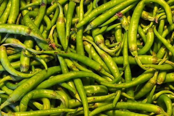 stock image Green chili