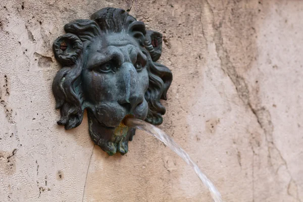 Lion fontän — Stockfoto