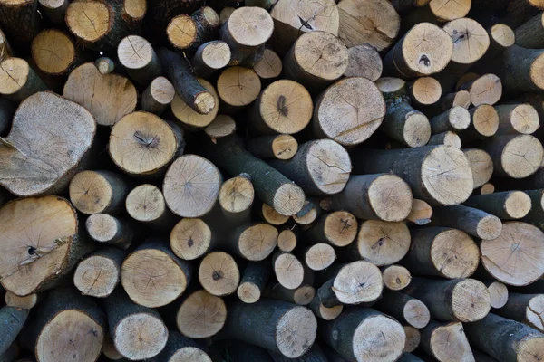 Stock image Stacked wood