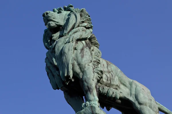 Leão de bronze — Fotografia de Stock