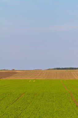 kırsal manzara