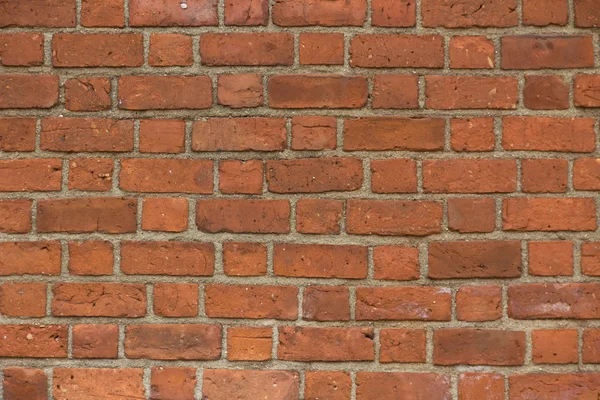 stock image Wall of bricks