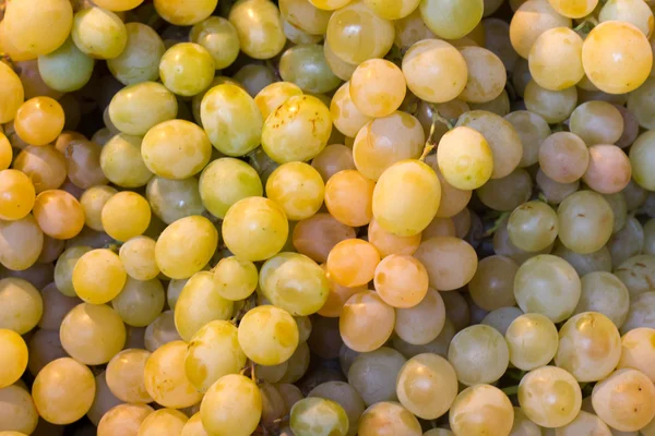 stock image Box of grapes