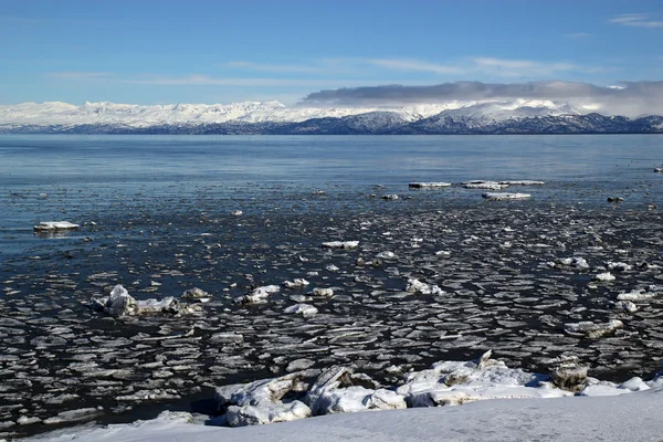 Παγωμένη θάλασσα στην Αλάσκα — Φωτογραφία Αρχείου