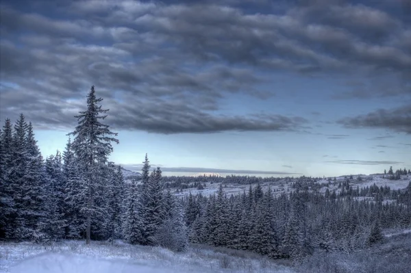 Winters tafereel met een humeurig hemel — Stockfoto