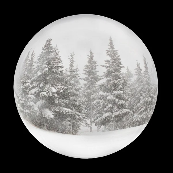 Снежный шар на черном — стоковое фото