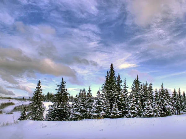 Schöner Winterhimmel — Stockfoto