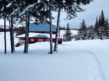 Alaskan homestead through the trees clipart