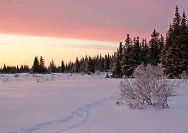 Pink sunset with tracks clipart