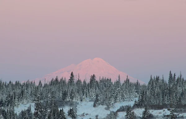 Mount redoubt bij zonsopgang — Stockfoto