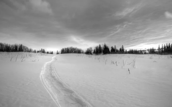 Rakietach śnieżnych ścieżki na zachodzie słońca — Zdjęcie stockowe