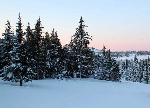 Pembe alaskan günbatımı — Stok fotoğraf