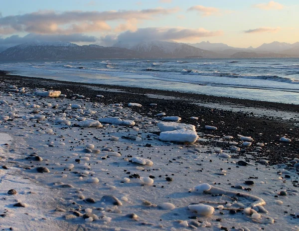 Zasněžené aljašské beach — Stockfoto