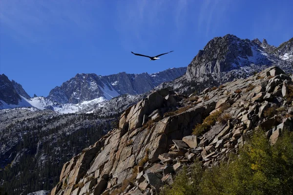 Eagle with rocky peaks