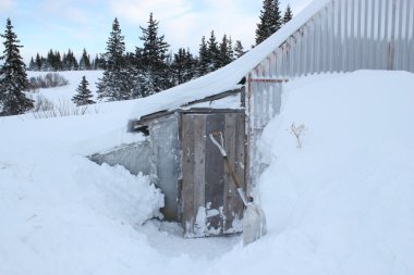 Snow around the chicken coop clipart