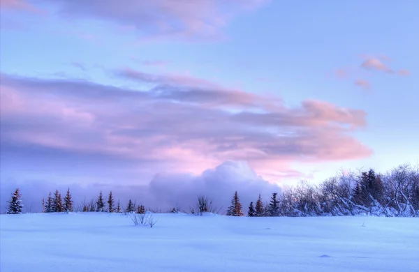 Růžový západ slunce s oblak obláček — Stock fotografie