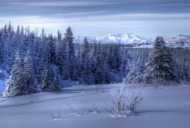 Alaskan landscape in winter clipart