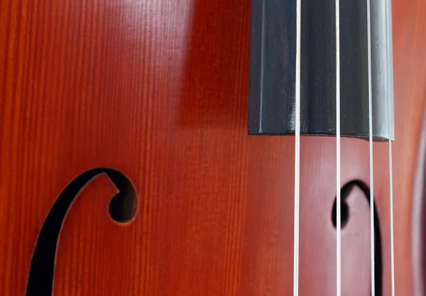 Cello close up — Stock Photo, Image