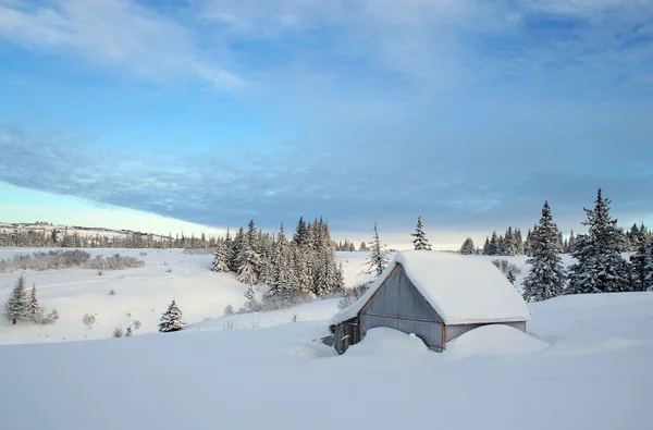 Edificio rural cubierto de nieve — Foto de Stock