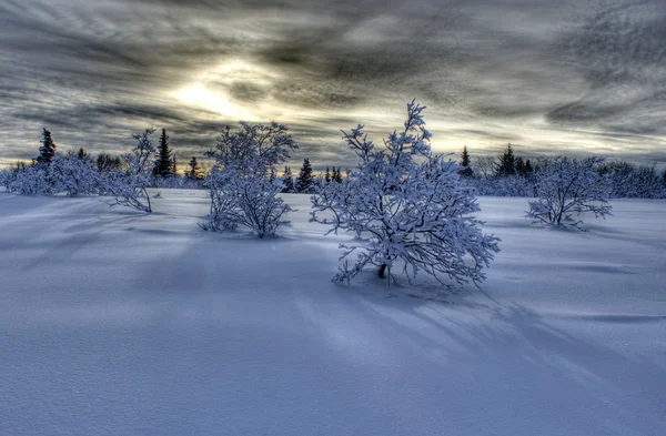 Moody kar sahne — Stok fotoğraf